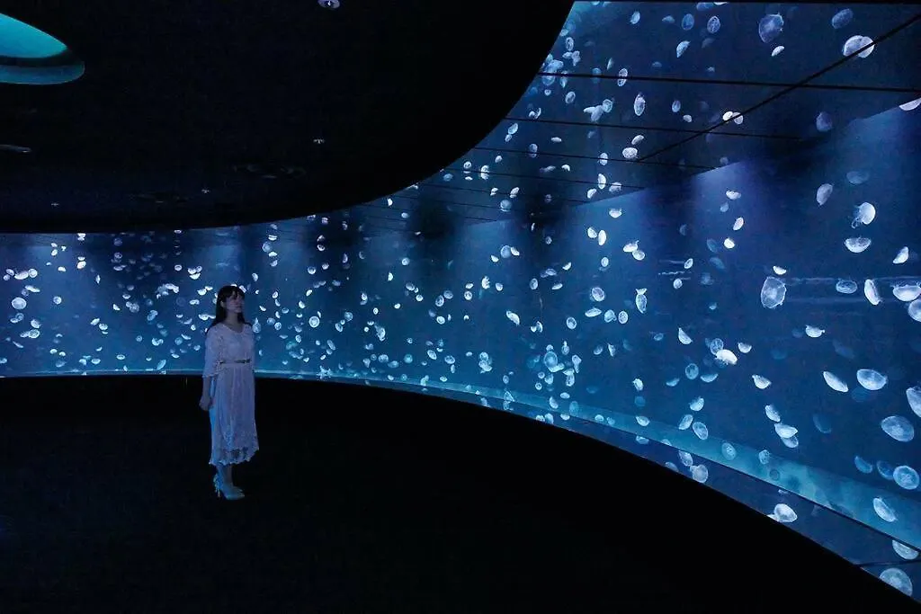 Appartamento アンドステイ幡ヶ谷202 Tokyo