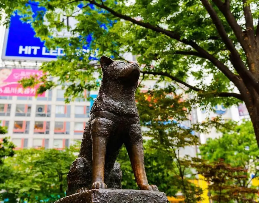 Apartmán アンドステイ幡ヶ谷202 Prefektura Tokio